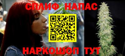 ALPHA PVP Коммунар