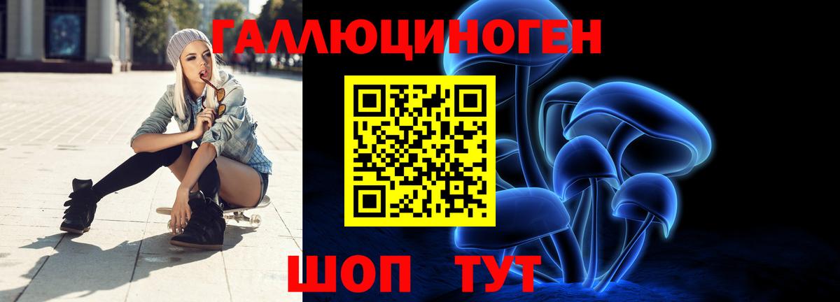 Псилоцибиновые грибы Psilocybe Кропоткин
